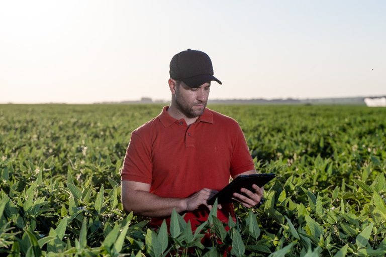 O que acontece com uma embalagem vazia de defensivo agrícola depois que você a devolve? A jornada passo a passo