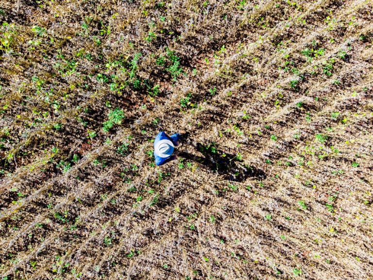 Educação, engajamento e sustentabilidade: como o Sistema Campo Limpo transforma o campo no Mato Grosso do Sul