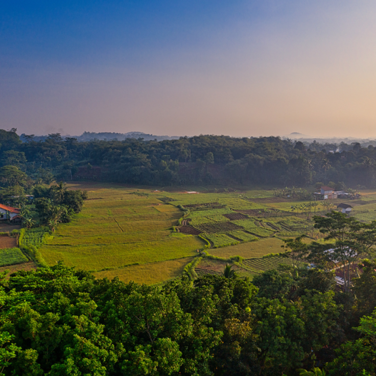 Sustentabilidade em foco: inpEV celebra Semana Estadual do Campo Limpo no ES