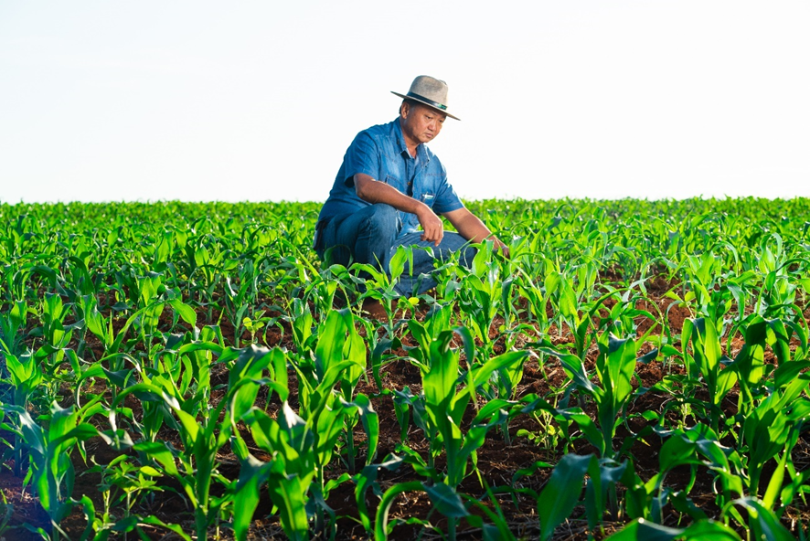 produtor rural agronegócio