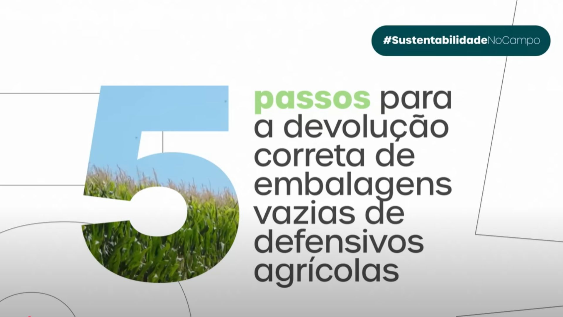 5 passos para realizar a devolução correta das embalagens vazias de defensivos agrícolas
